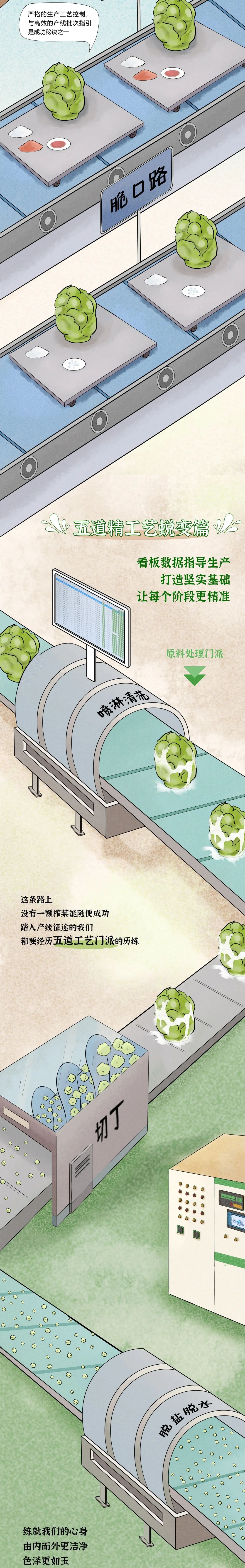 手绘长图|涪陵榨菜,去哪都是这个味儿!