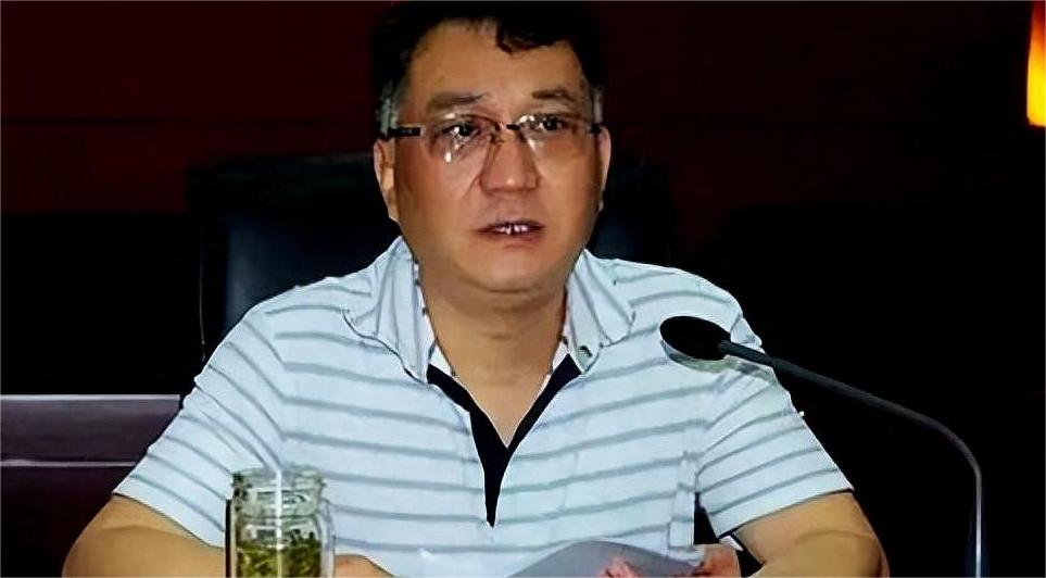 疯狂敛财局长程瀚,偏好美女警花,无节操揭秘