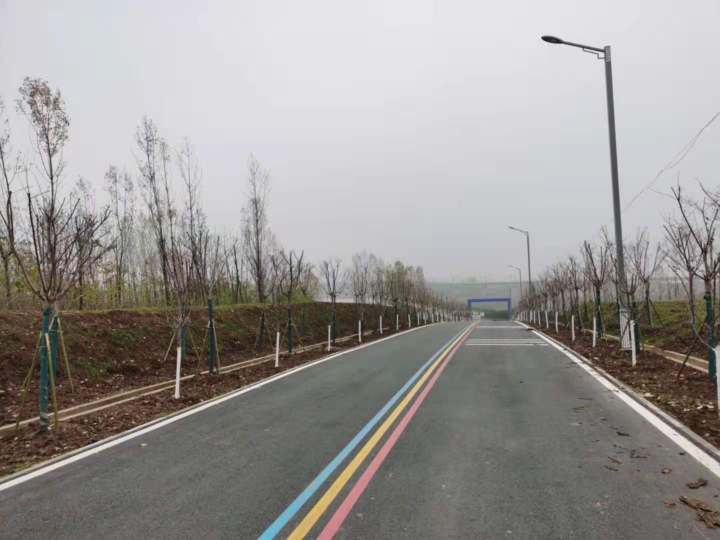 襄阳市樊城区一号乡村公路绿化完成