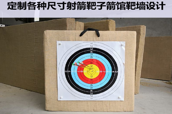 冬季两项射击靶子图片