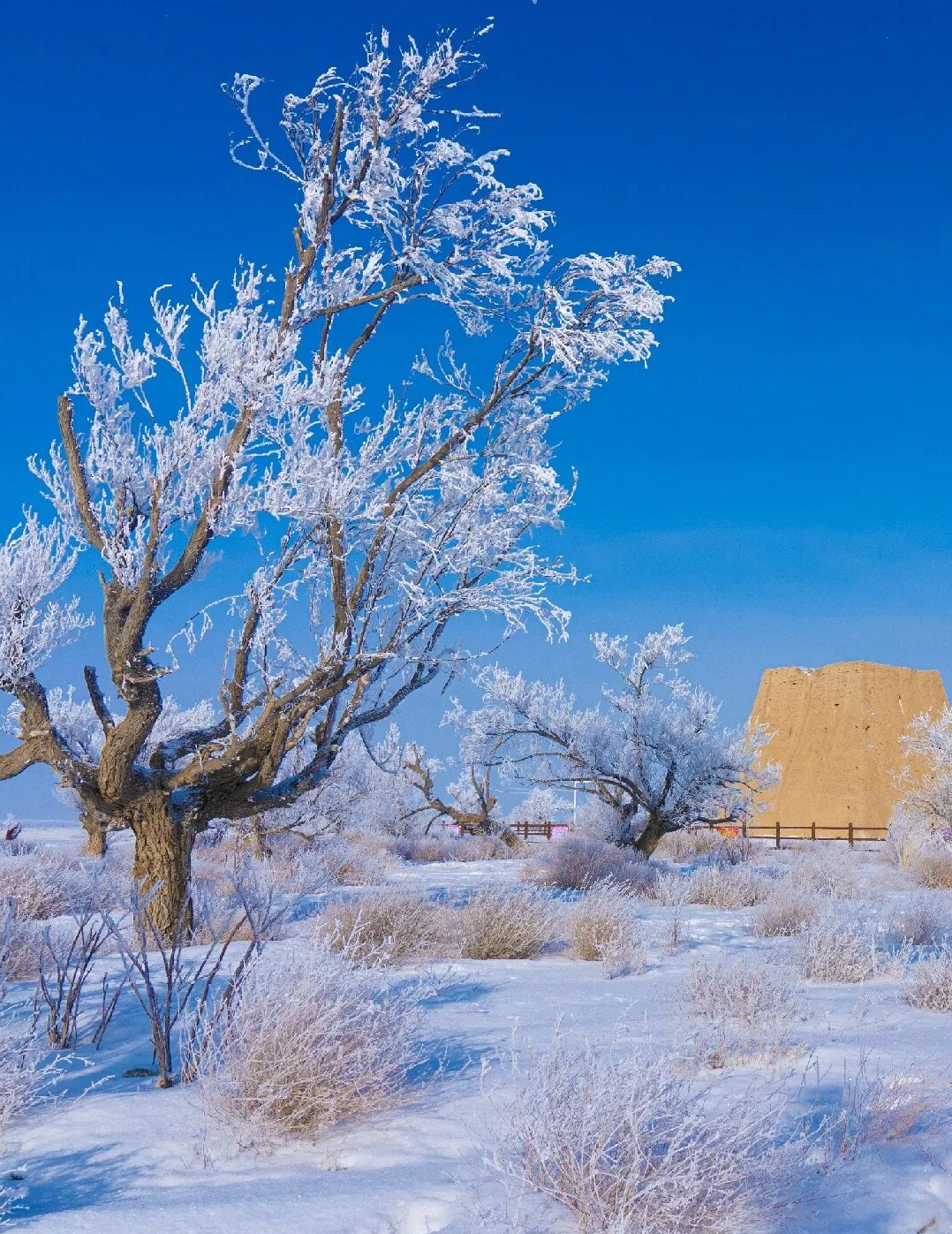 冬日西山农牧场:阳光,美景与田园生活