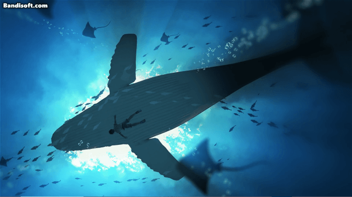 壁纸推荐清凉一夏upupoo带你看海