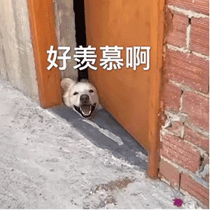 299_299gif 动态图 动图
