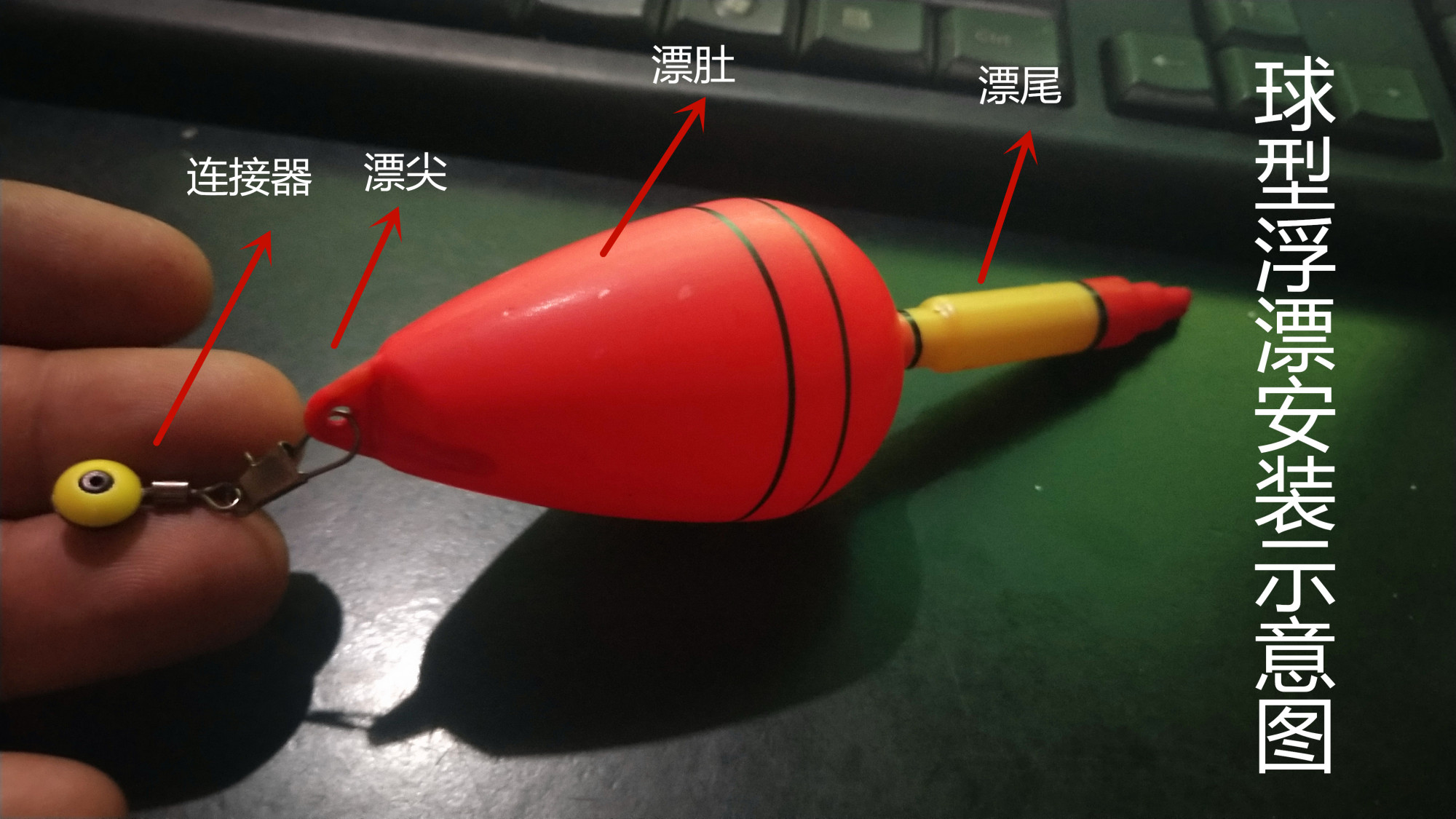 漂座,而是使用连接器将主线与浮漂相连; 2,和立式浮漂的安装步骤类似