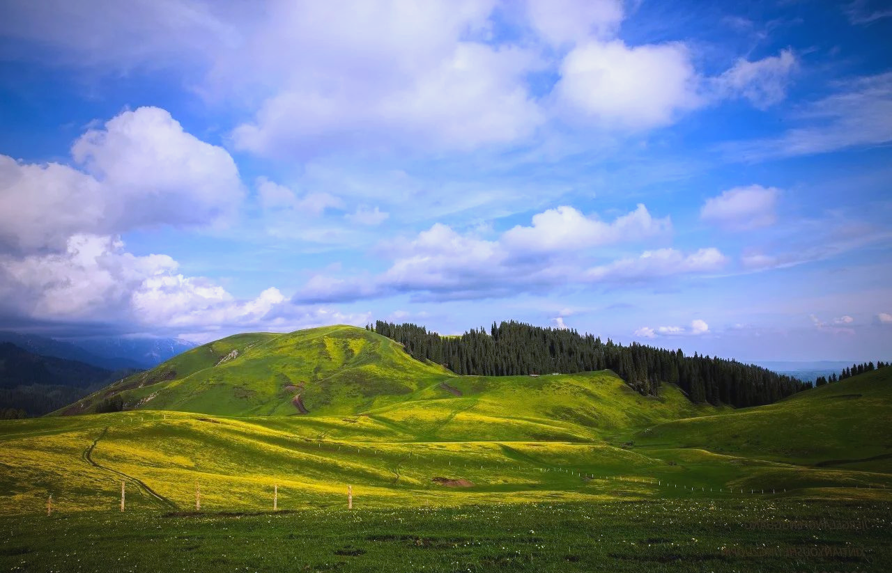 蒙古民歌《莫尼山》的多版本演绎,展现不一样的美!