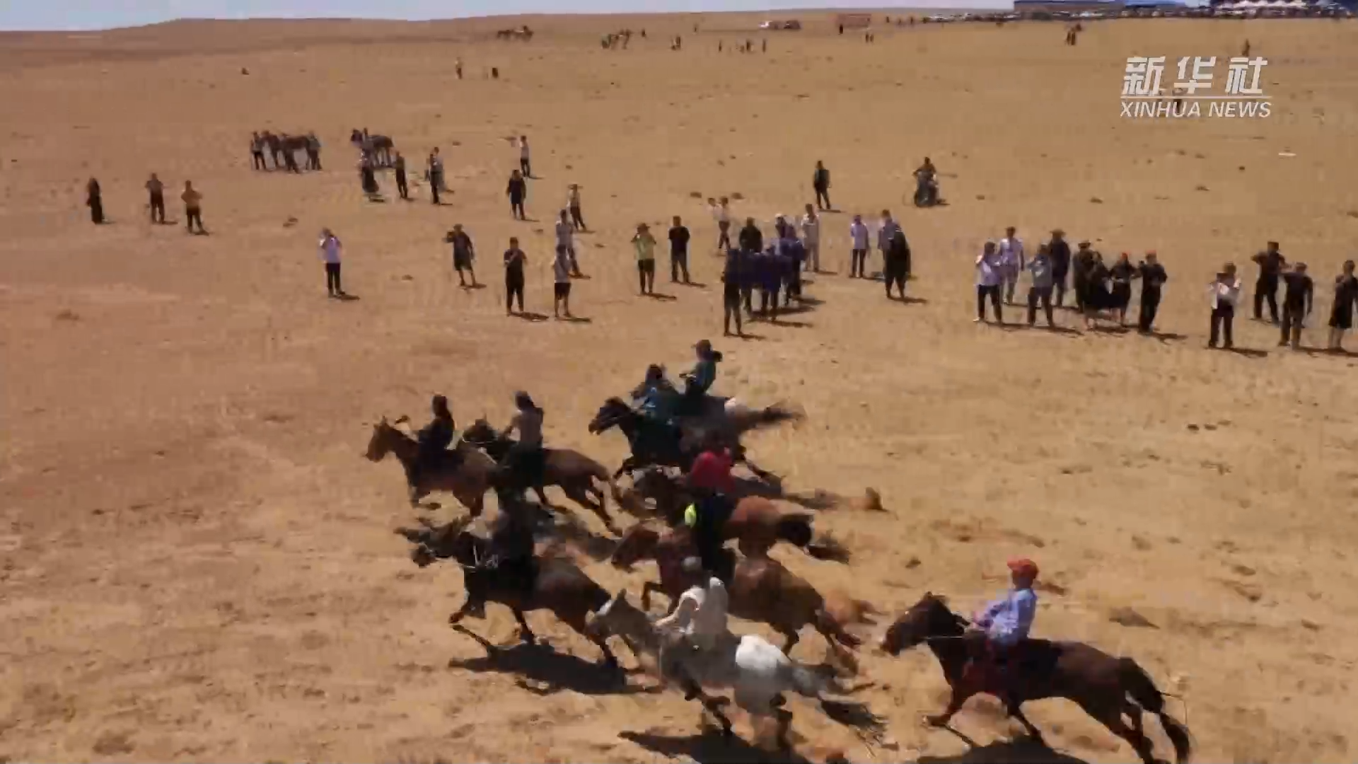 内蒙古乌拉特草原牧民套马场面激烈壮观