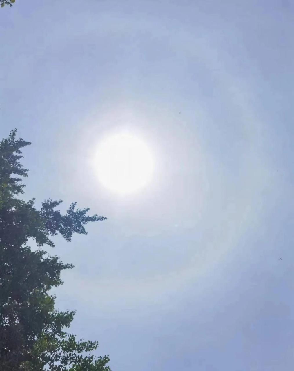 神奇的汶上宝相寺佛光. 山东汶上宝相寺上空再现佛光.