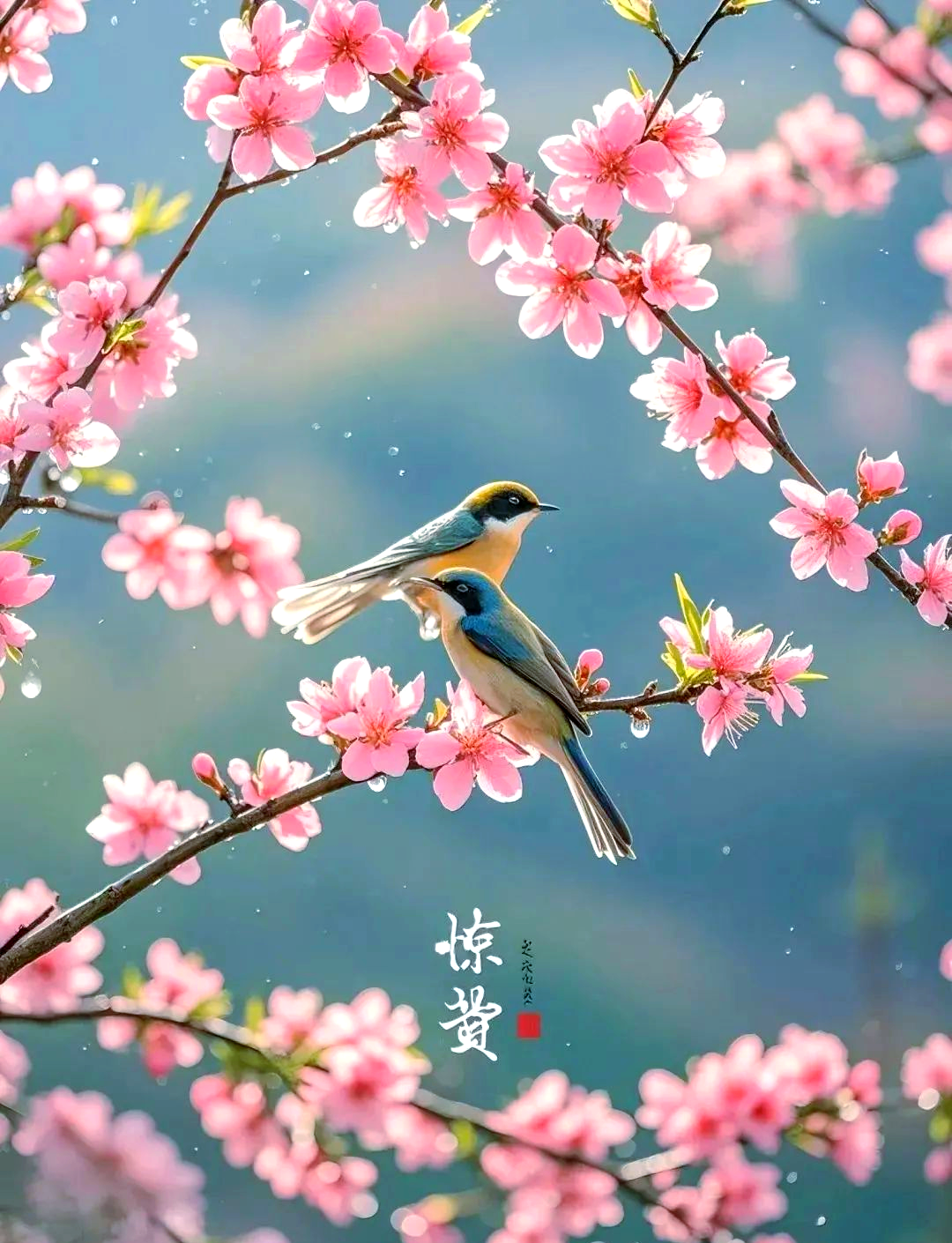 惊蛰节气的意义与习俗全解析