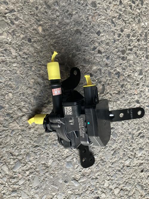 碳罐吹洗泵的作用是什么