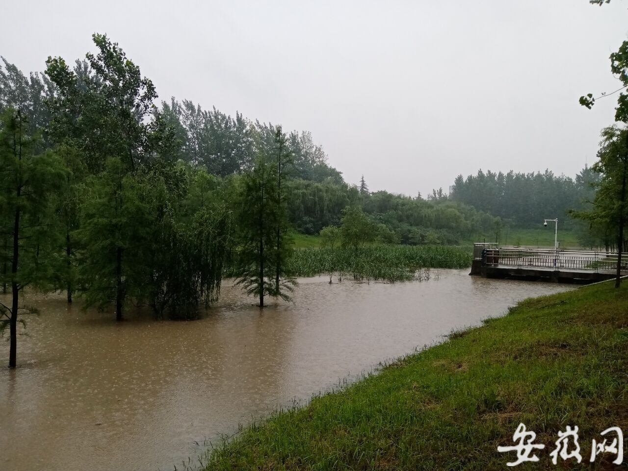 实拍合肥经开区调蓄塘再次超水位