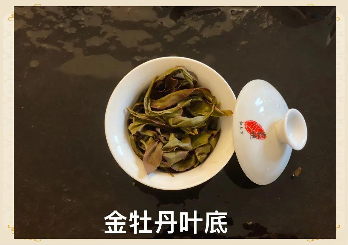 深入探索武夷岩茶金牡丹的魅力