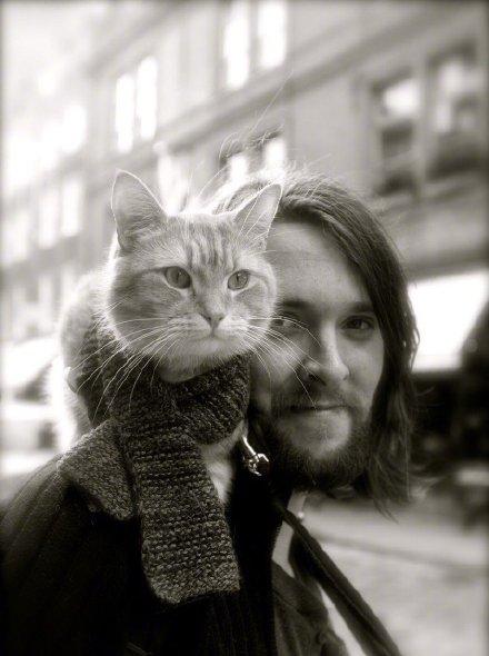 流浪猫鲍勃去世 主人詹姆斯缅怀:生活失去了光芒