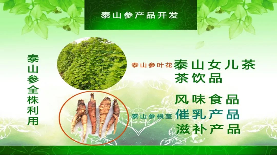 泰山参大健康产业商业计划书