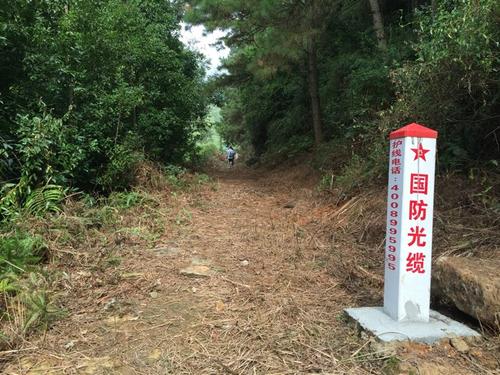 国防光缆长什么样子