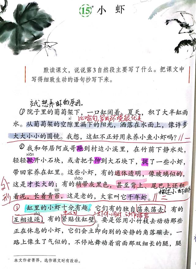 15课《小虾》课堂笔记图片