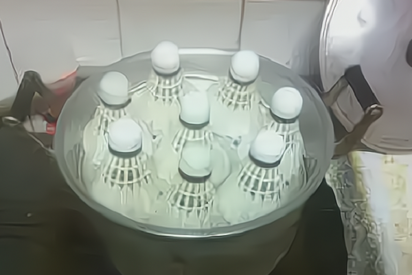 冬天羽毛球怎么蒸