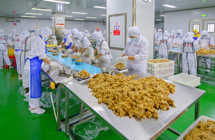 广西合浦:月饼飘香生产忙