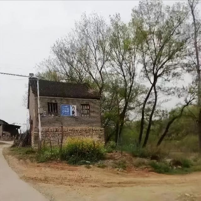 张文采|时间冲刷万物,唯独文化长存一一我与公众号百姓文化视点