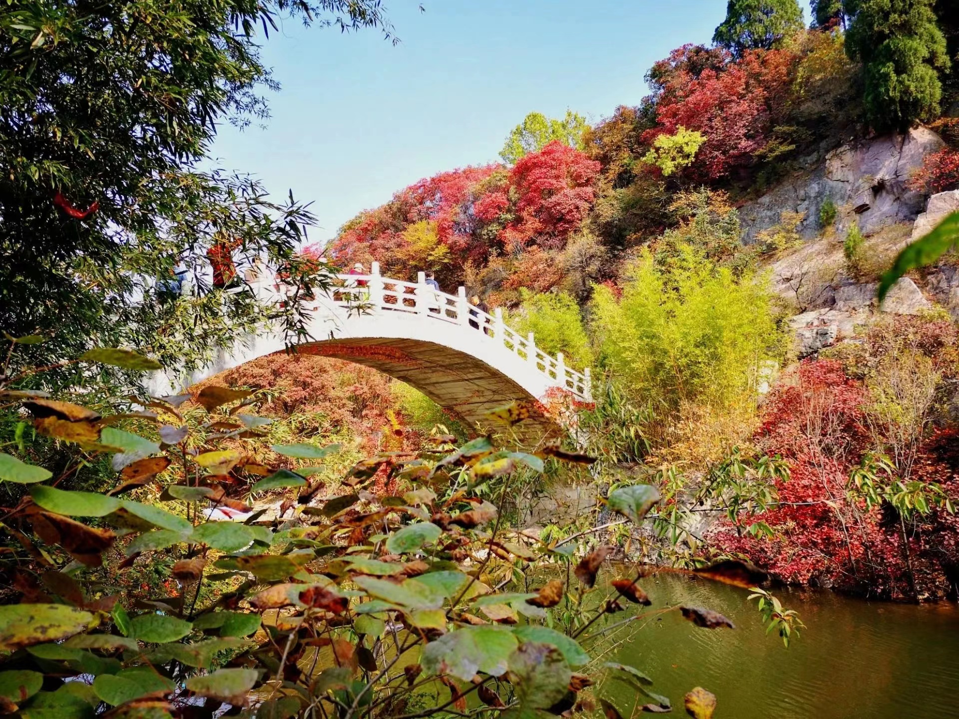 济南红叶谷景区图片图片