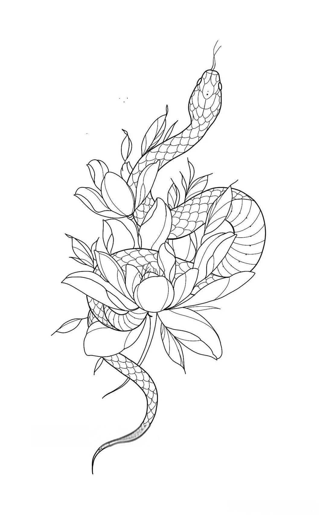 蛇纹素材手稿集:蛇花线条设计集锦