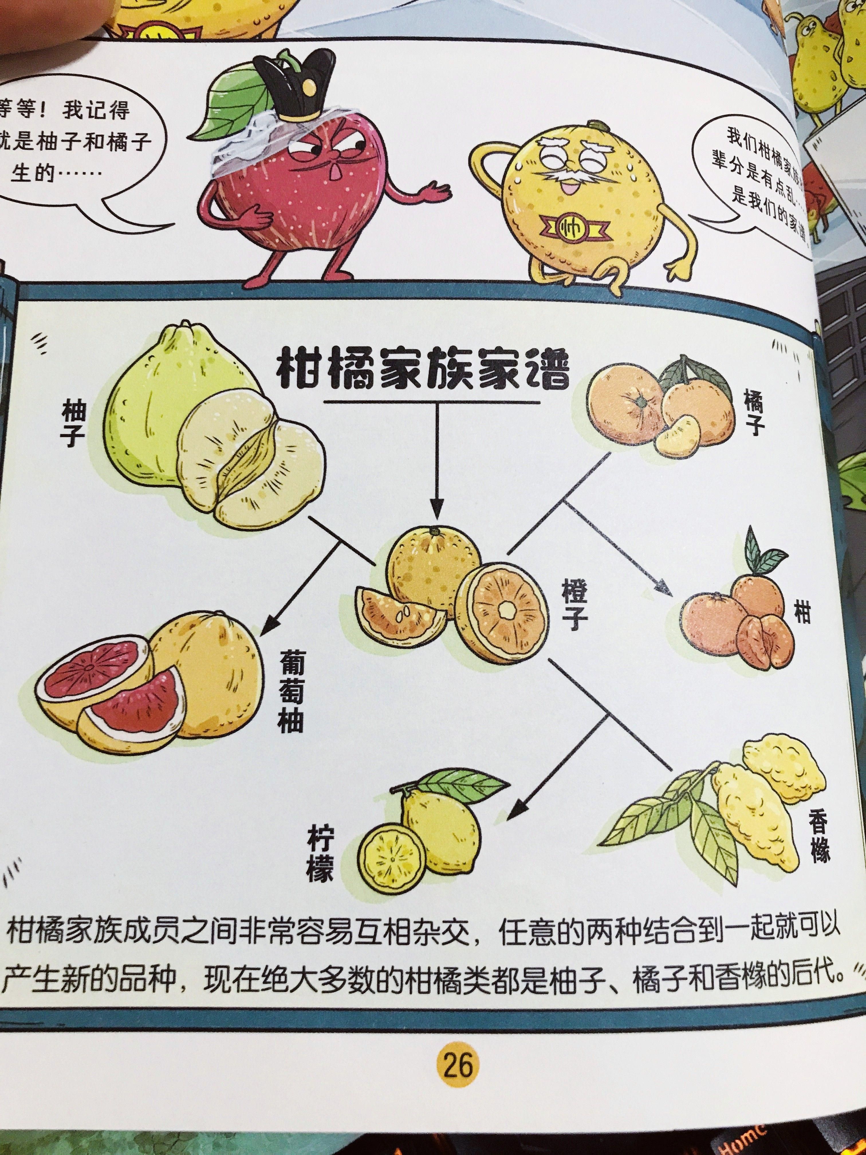 《这就是科学》:如果不看它,都不知道柑橘家族的不堪往事