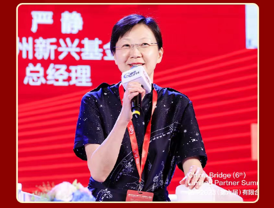 广州新兴基金总经理严静:3.0时代自己组建纯市场化的s基金