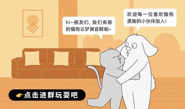 贤者模式猫图片