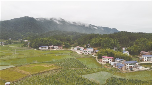 "白龙"腾飞——湘乡市月山镇白龙村见闻