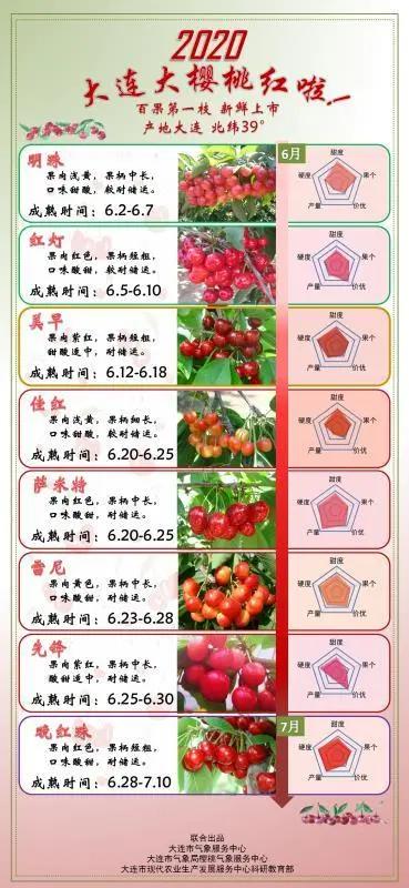 大连樱桃几月份成熟图片