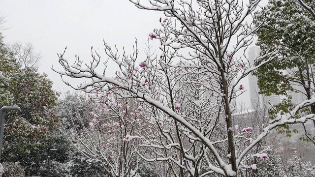 雪后富源