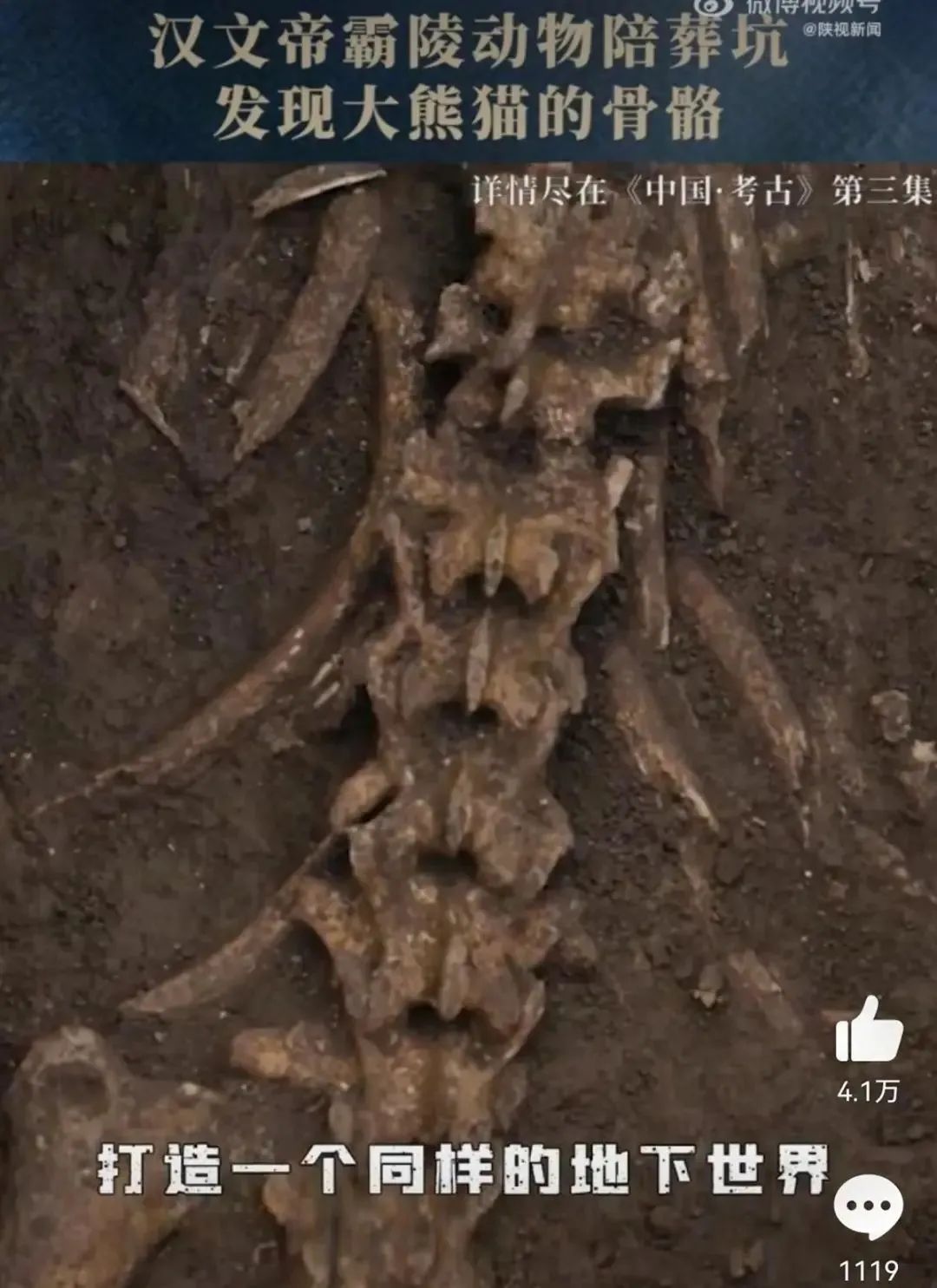 原来学生们一直在古墓上踢球！操场发现春秋战国古墓群，奇的是一座墓坑里有19颗头骨…_考古