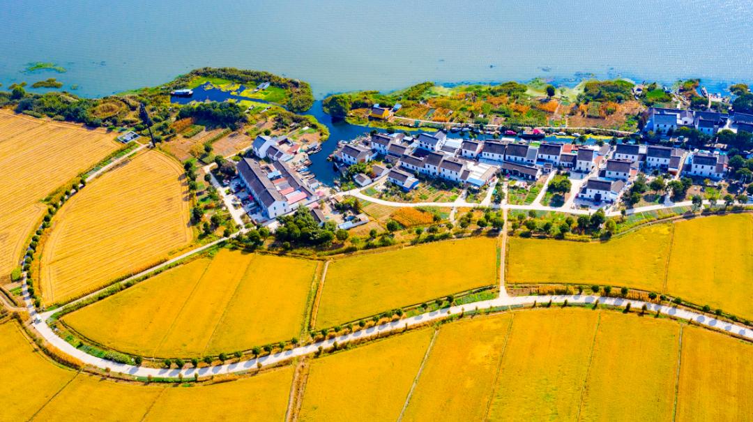 非凡十年 | 度假区(阳澄湖镇):高质量谱写新时代鱼米之乡苏州样板的