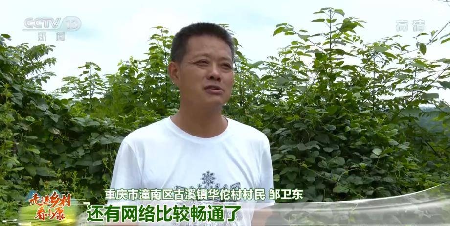 重庆市潼南区古溪镇华佗村村民邹卫东:水,电,气现在都到家了,还有网络