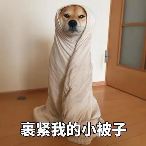 邵阳的天气是