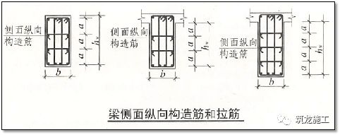 梁腰筋和拉筋设置图解图片