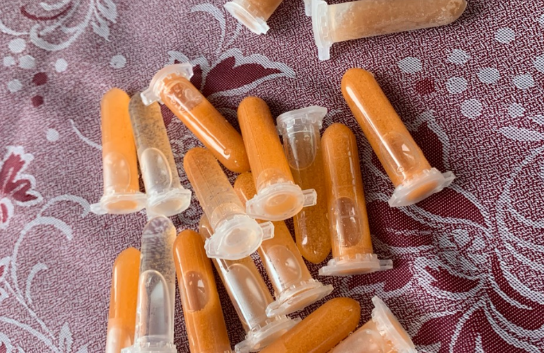 丰年虾怎么养殖和繁殖