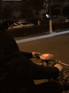 以为这只猫能跳过来呢 第8张