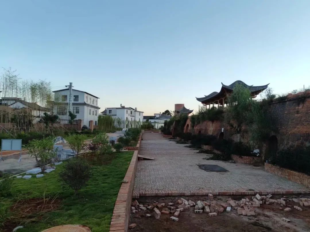 建水西庄镇:栽好梧桐引"凤"来