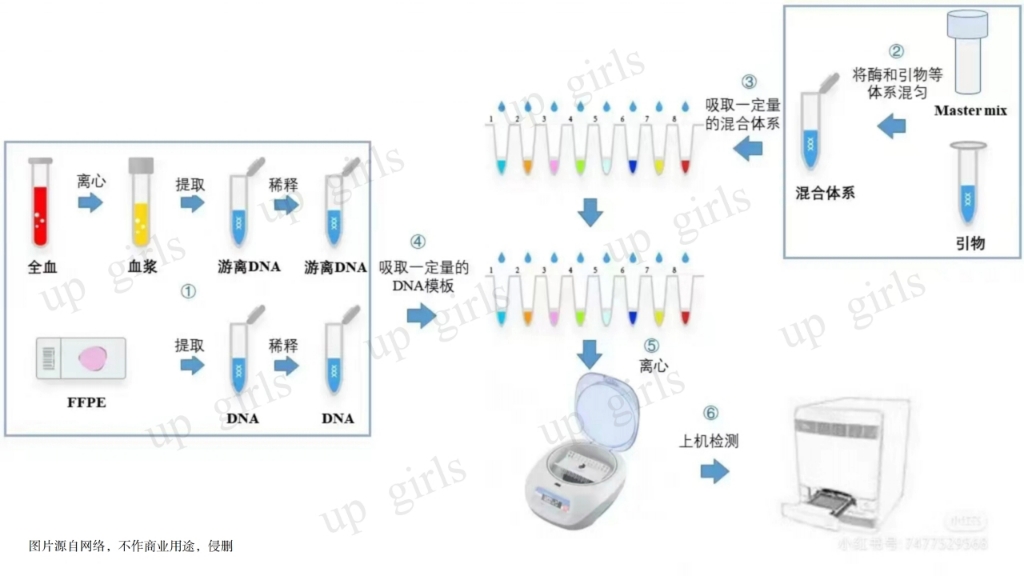 pcr三轮循环过程图图片