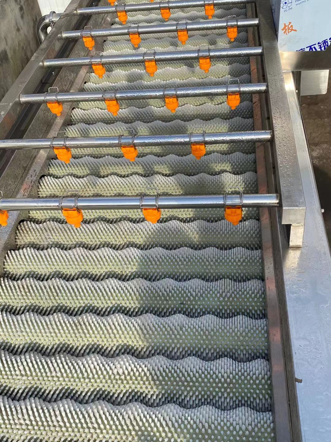 多功能平行毛辊清洗机-大型海产品贝类毛刷洗设备