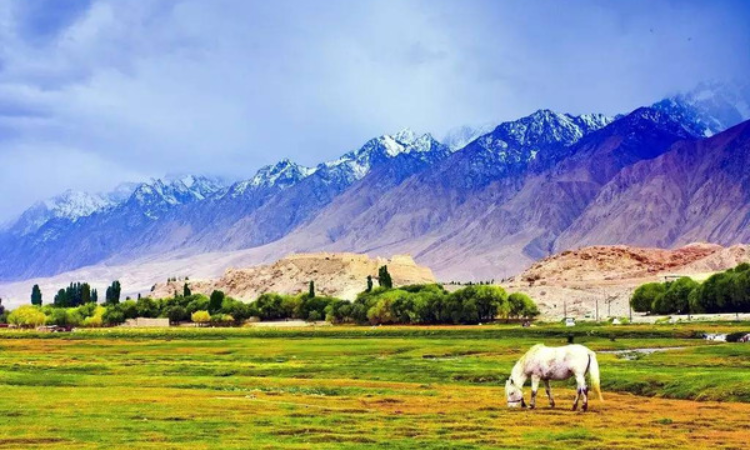 塔县县城海拔多少米高