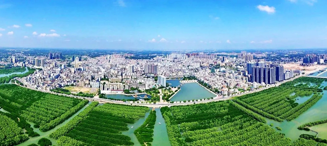 砥砺前行云和月——记广东茂名市电白区政协常委萧钦华