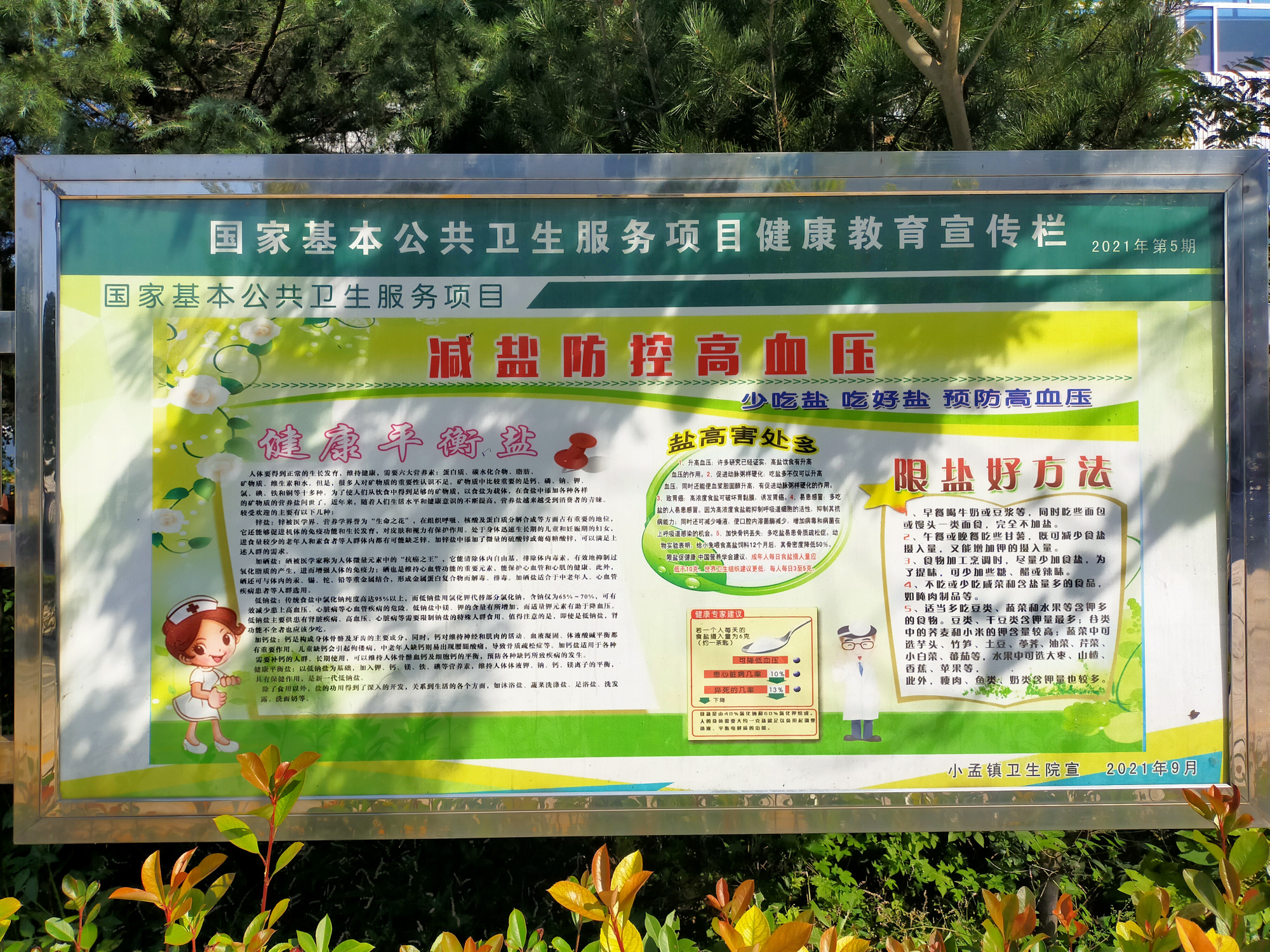 减盐防控高血压宣传栏