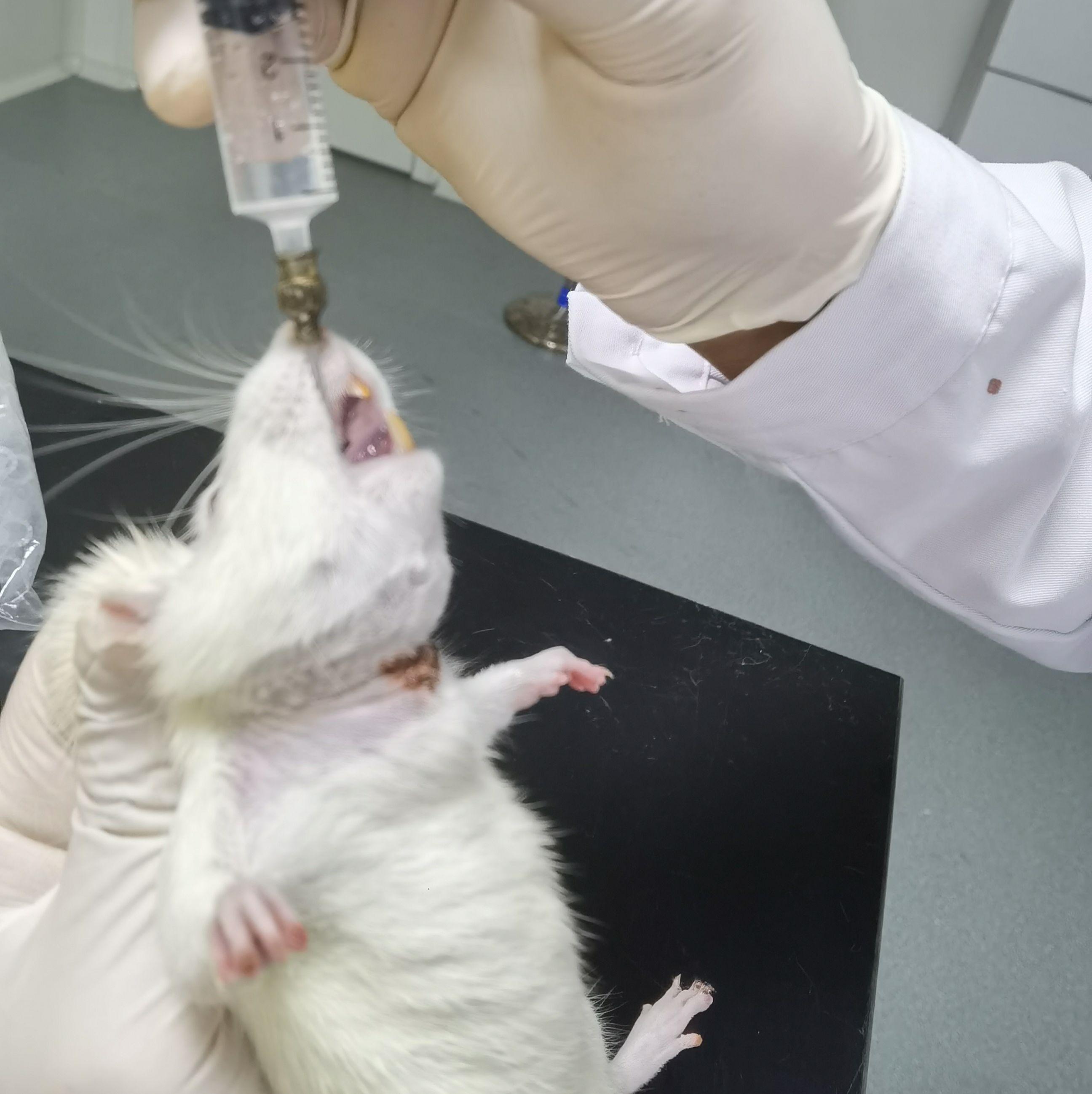 别再傻傻付出林可亲身经历揭示你越牺牲他越冷漠的生物学真相