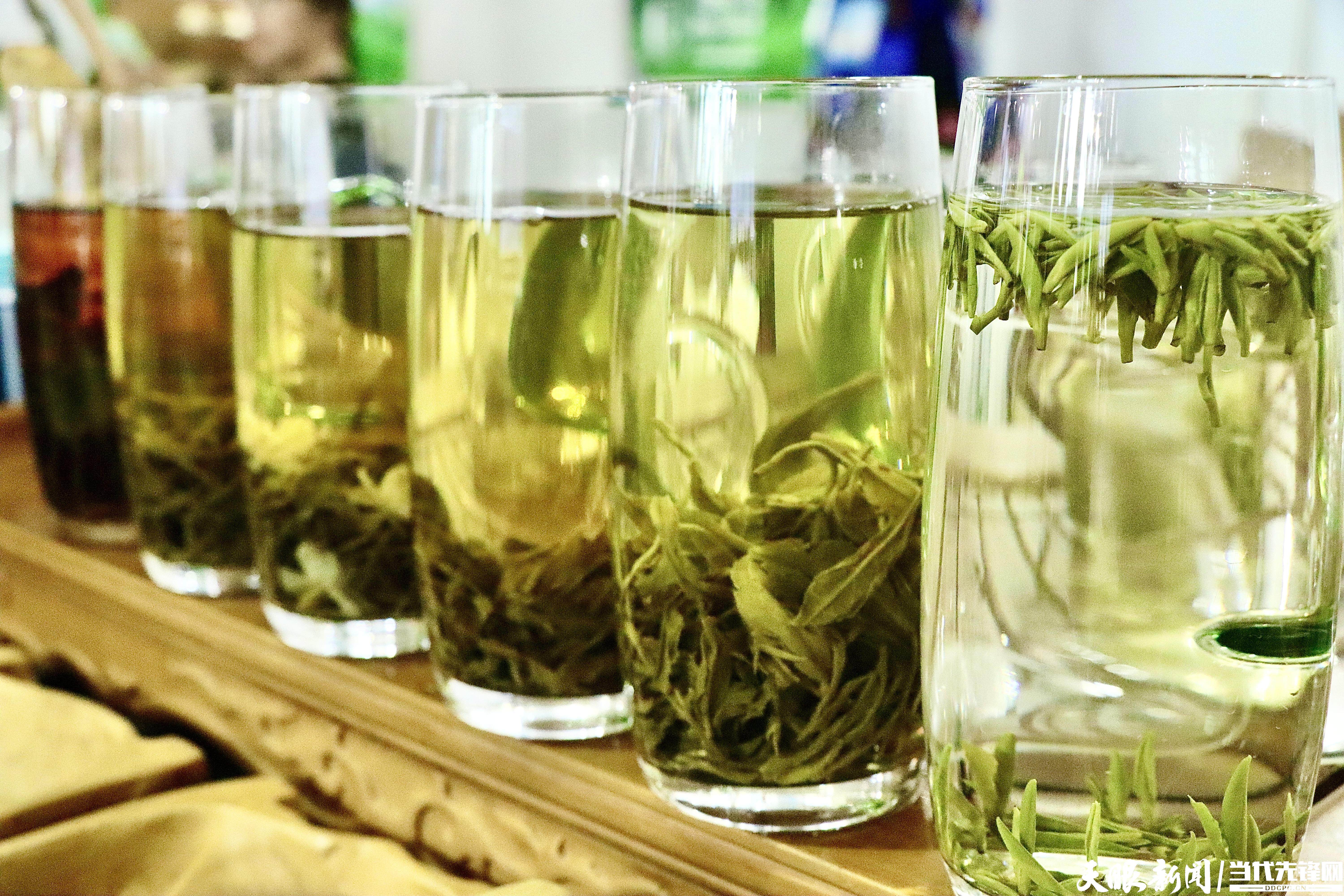 「聚焦2023北京茶博会」梵净山茶:一叶见方寸 一茶观万千