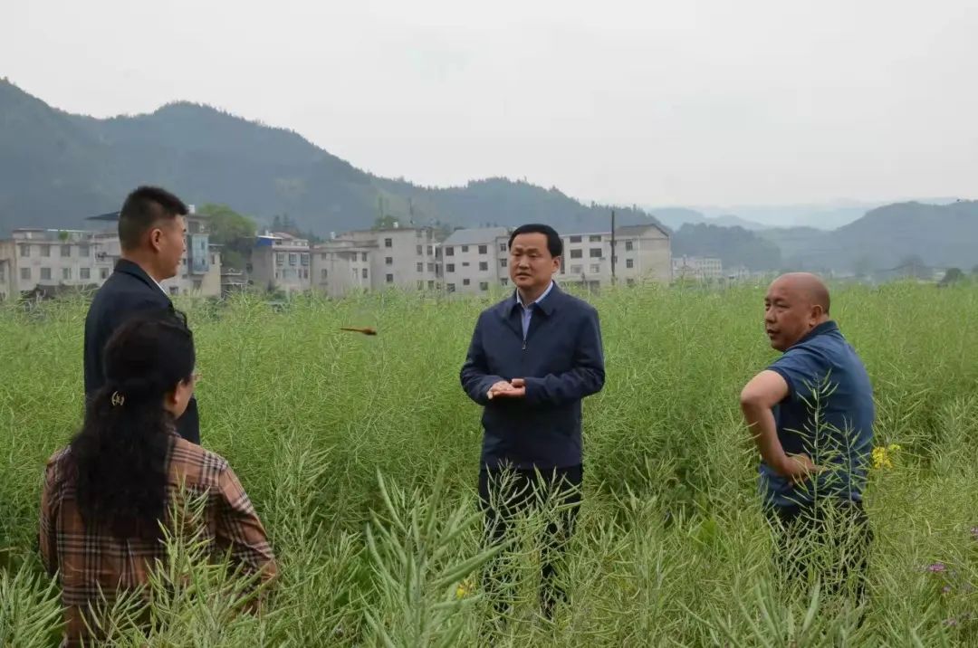 安九熊到黎平,锦屏,天柱,剑河调研