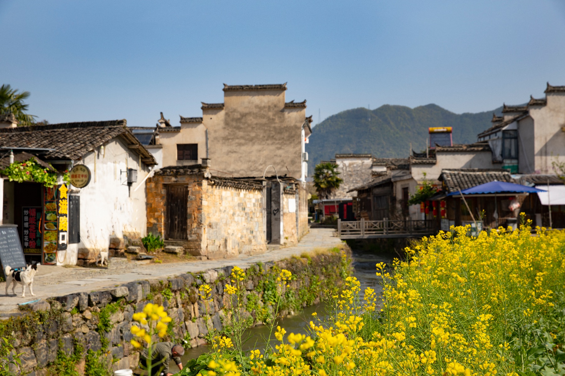 黟县屏山风景区图片图片