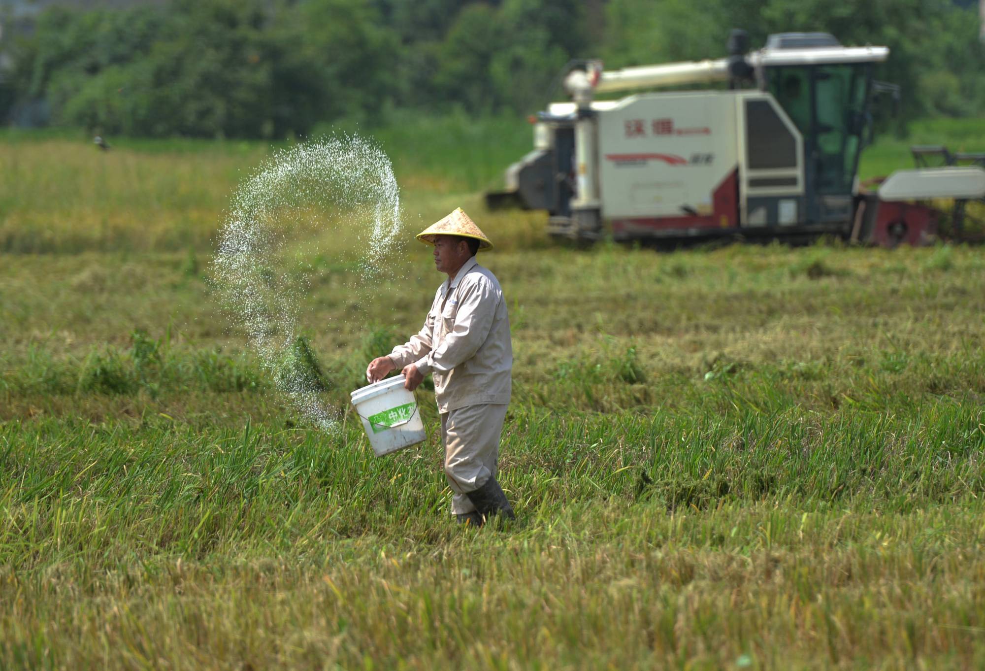 撒肥耕播种和种肥同播有什么区别?什么方法最好?很重要