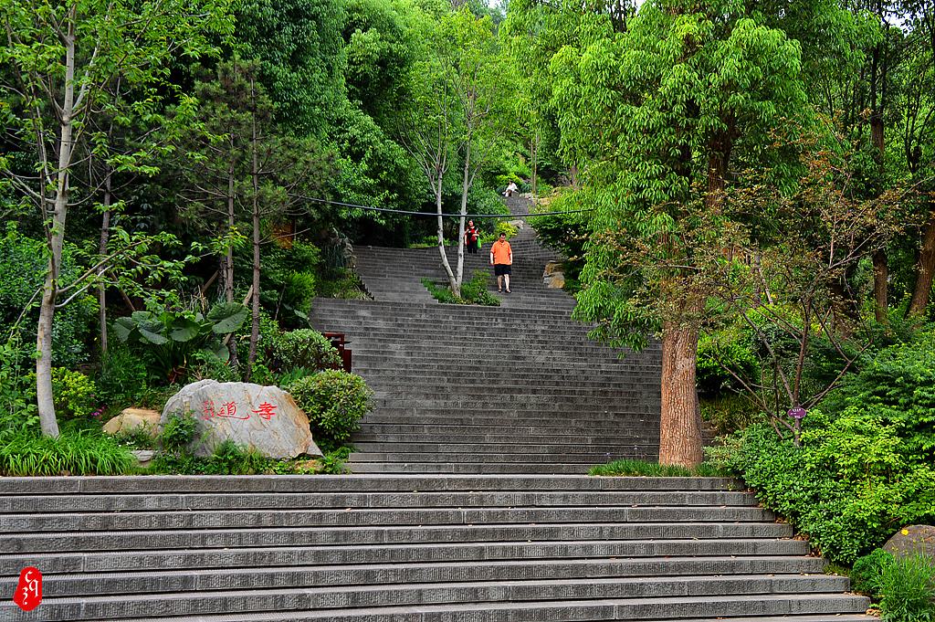 重庆市区登山好去处图片