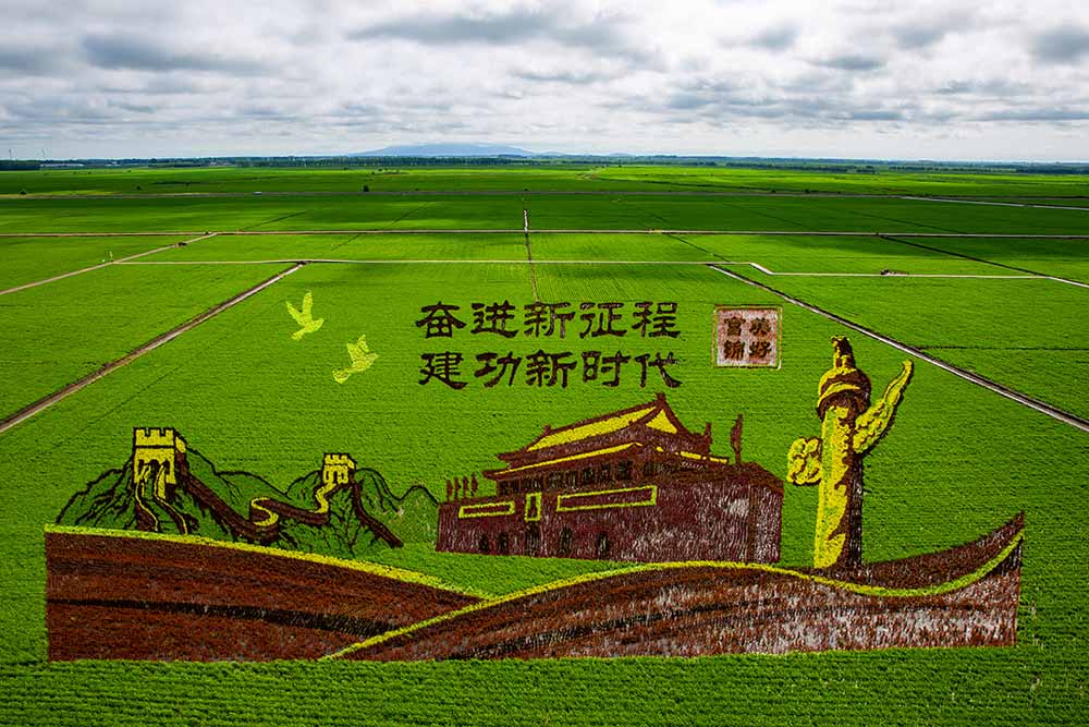 黑龙江:农业观光游带你看"丰"景 共享丰收喜悦